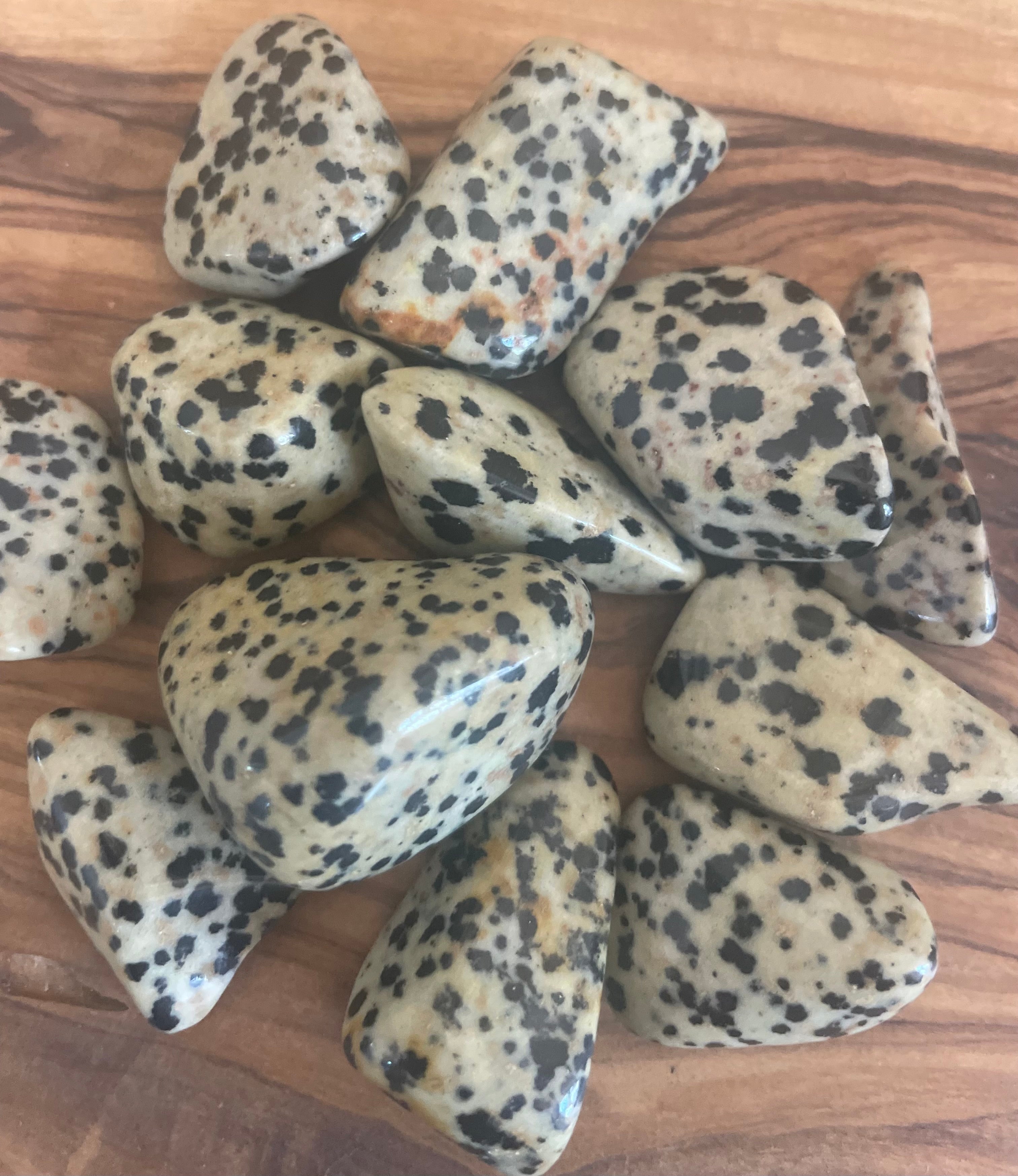 Dalmatian Jasper Tumble Stone