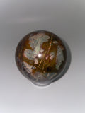 Petrified Wood Sphere (Madagascar)