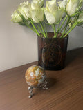 Beautiful petrified wood in its natural earthy tones.